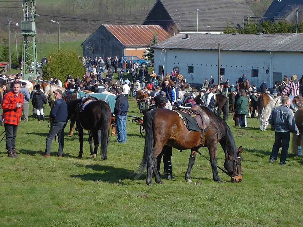 Ferienwohnung Eifelluft Даун Номер фото